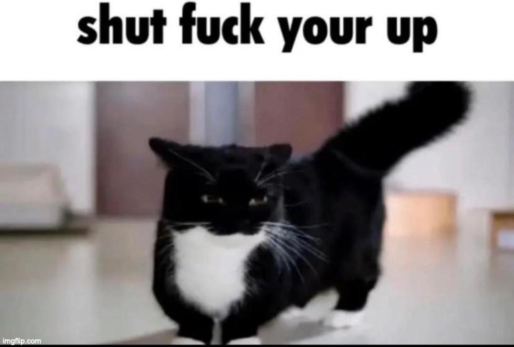 shut fuck your up | image tagged in shut fuck your up | made w/ Imgflip meme maker