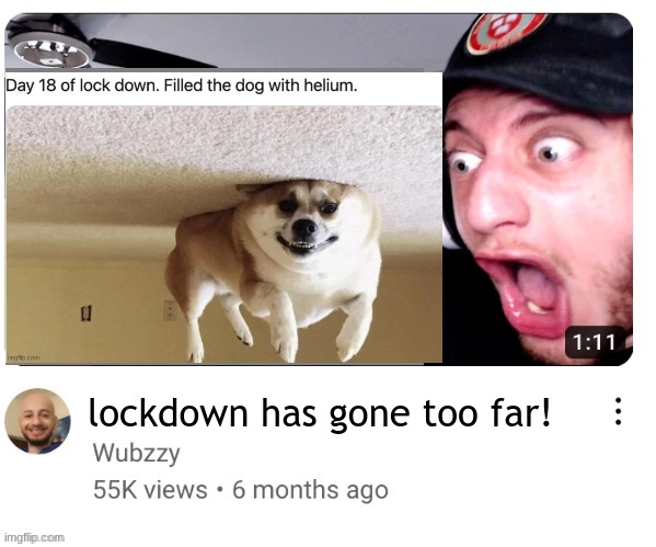 Wubzzy Reaction Blank | lockdown has gone too far! | image tagged in wubzzy reaction blank | made w/ Imgflip meme maker