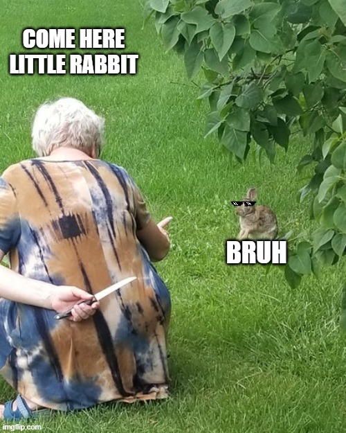 Bruh!!! | COME HERE LITTLE RABBIT; BRUH | image tagged in grandma hiding knife rabbit | made w/ Imgflip meme maker