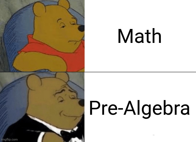 What do you call it? | Math; Pre-Algebra | image tagged in memes,tuxedo winnie the pooh | made w/ Imgflip meme maker