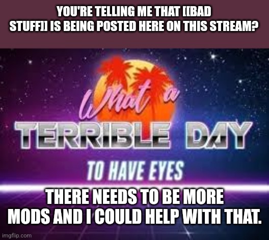 I can help. | YOU'RE TELLING ME THAT [[BAD STUFF]] IS BEING POSTED HERE ON THIS STREAM? THERE NEEDS TO BE MORE MODS AND I COULD HELP WITH THAT. | image tagged in what a terrible day to have eyes,mods | made w/ Imgflip meme maker