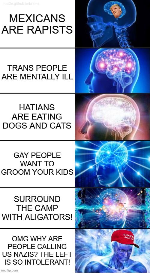 Howdy | MEXICANS ARE RAPISTS; TRANS PEOPLE ARE MENTALLY ILL; HATIANS ARE EATING DOGS AND CATS; GAY PEOPLE WANT TO GROOM YOUR KIDS; SURROUND THE CAMP WITH ALIGATORS! OMG WHY ARE PEOPLE CALLING US NAZIS? THE LEFT IS SO INTOLERANT! | image tagged in 6-tier expanding brain,trump,maga,brain,nazis | made w/ Imgflip meme maker