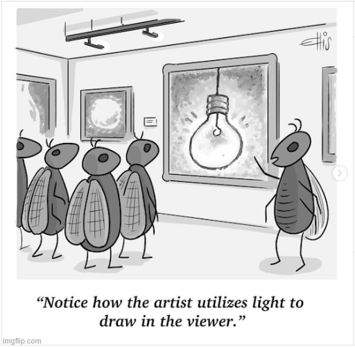 Gallery tour | image tagged in repost,gallery tour | made w/ Imgflip meme maker