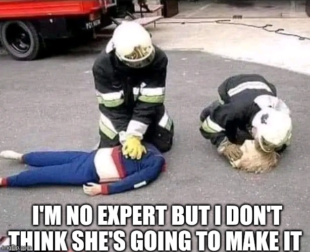 I'm No Expert But I Don't Think She's Going To Make It | I'M NO EXPERT BUT I DON'T THINK SHE'S GOING TO MAKE IT | image tagged in chris joines | made w/ Imgflip meme maker