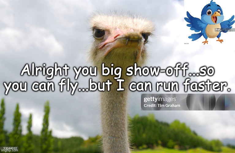 If Only I Could Fly | Alright you big show-off...so you can fly...but I can run faster. | image tagged in envy | made w/ Imgflip meme maker