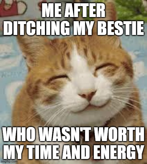 happened today - couldnt have made a better decision :) | ME AFTER DITCHING MY BESTIE; WHO WASN'T WORTH MY TIME AND ENERGY | image tagged in happy cat,memes,funny,viral,lol,kitten | made w/ Imgflip meme maker