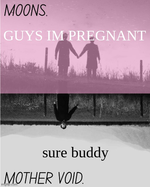 MOONS and MOTHER VOID template | GUYS IM PREGNANT; sure buddy | image tagged in moons and mother void template | made w/ Imgflip meme maker