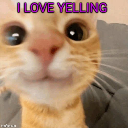 him | I LOVE YELLING | image tagged in him | made w/ Imgflip meme maker