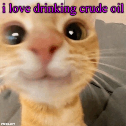 kitty | i love drinking crude oil | image tagged in him | made w/ Imgflip meme maker