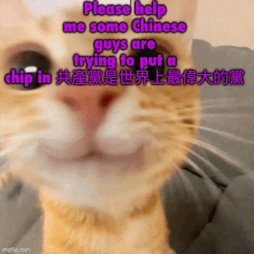 kitty | Please help me some Chinese guys are trying to put a chip in 共產黨是世界上最偉大的黨 | image tagged in him | made w/ Imgflip meme maker