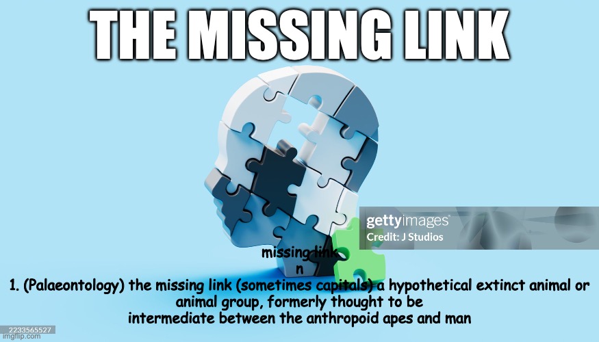 Wise Guys | THE MISSING LINK; missing link
n
1. (Palaeontology) the missing link (sometimes capitals) a hypothetical extinct animal or animal group, formerly thought to be intermediate between the anthropoid apes and man | image tagged in the,fool | made w/ Imgflip meme maker