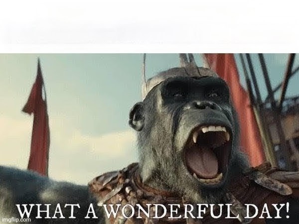 High Quality What a Wonderful Day Blank Meme Template