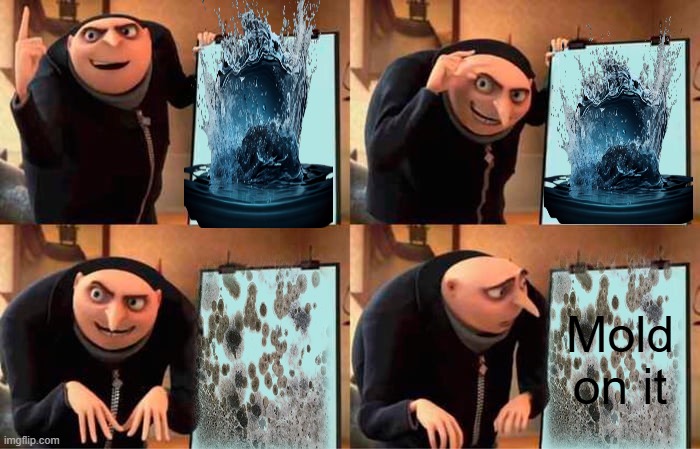 Gru's Plan Meme | Mold on it | image tagged in memes,gru's plan | made w/ Imgflip meme maker