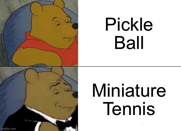 Play ball | Pickle Ball; Miniature Tennis | image tagged in memes,tuxedo winnie the pooh | made w/ Imgflip meme maker