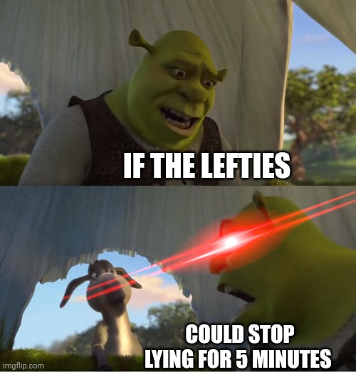 Shrek For Five Minutes | IF THE LEFTIES COULD STOP LYING FOR 5 MINUTES | image tagged in shrek for five minutes | made w/ Imgflip meme maker