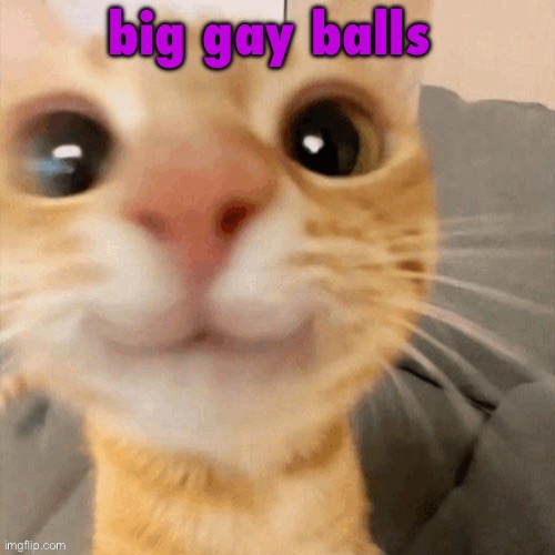 let’s bring this trend back | big gay balls | image tagged in him | made w/ Imgflip meme maker
