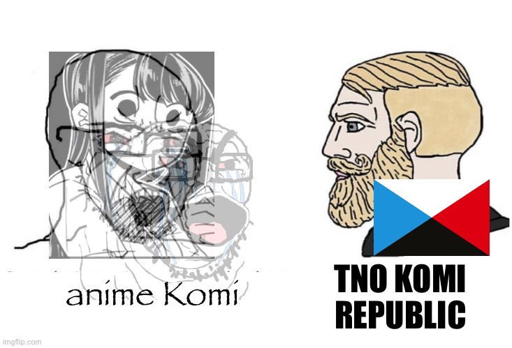 weeb girl vs bastion of free speech | anime Komi; TNO KOMI REPUBLIC | image tagged in soyboy vs yes chad | made w/ Imgflip meme maker
