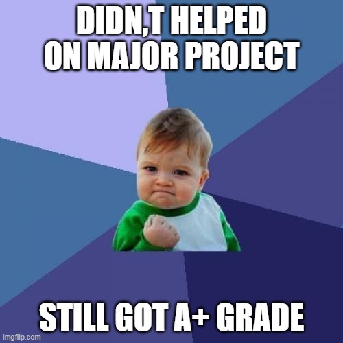 Success Kid Meme | DIDN,T HELPED ON MAJOR PROJECT; STILL GOT A+ GRADE | image tagged in memes,success kid | made w/ Imgflip meme maker
