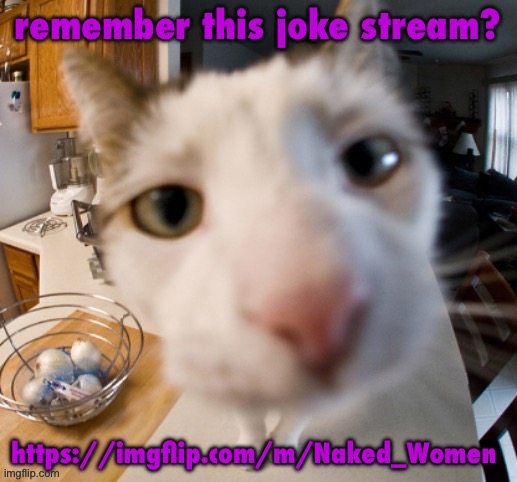 he | remember this joke stream? https://imgflip.com/m/Naked_Women | image tagged in he | made w/ Imgflip meme maker