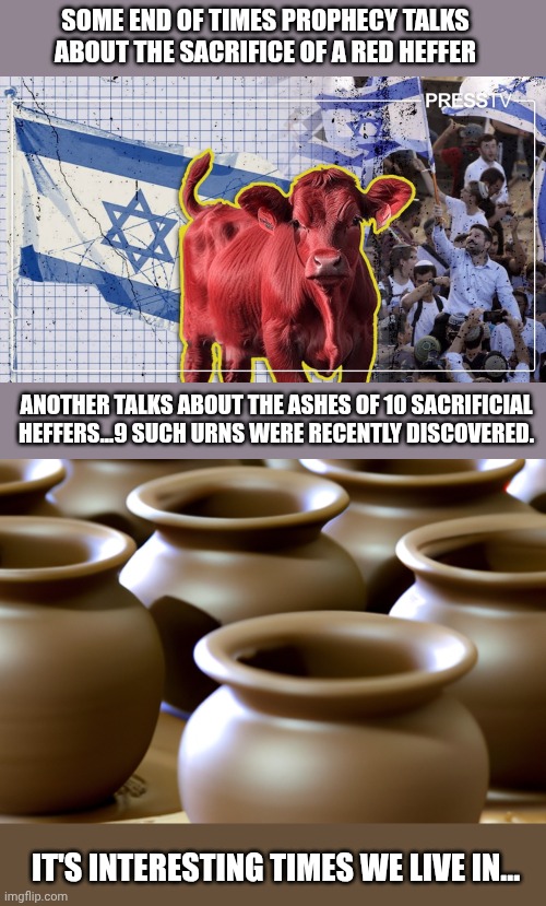 SOME END OF TIMES PROPHECY TALKS ABOUT THE SACRIFICE OF A RED HEFFER ANOTHER TALKS ABOUT THE ASHES OF 10 SACRIFICIAL HEFFERS...9 SUCH URNS W | image tagged in pots in pottery studio | made w/ Imgflip meme maker