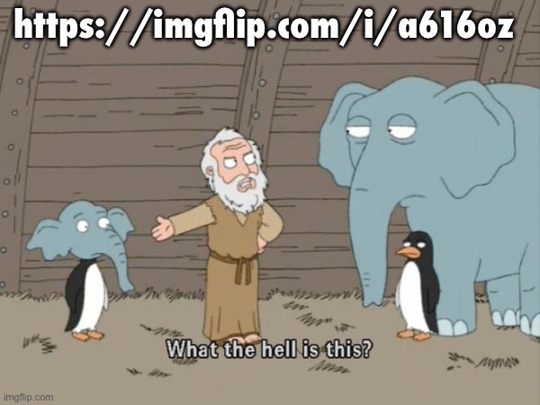 what do i even say to this | https://imgflip.com/i/a616oz | image tagged in what the hell is this | made w/ Imgflip meme maker