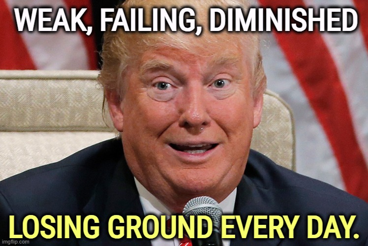 Trump, frontotemporal dementia | WEAK, FAILING, DIMINISHED; LOSING GROUND EVERY DAY. | image tagged in trump dilated alibi excuse,weak,failing,small,alzheimers | made w/ Imgflip meme maker