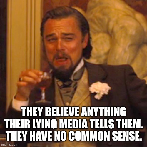 Laughing Leo Meme | THEY BELIEVE ANYTHING THEIR LYING MEDIA TELLS THEM.  THEY HAVE NO COMMON SENSE. | image tagged in memes,laughing leo | made w/ Imgflip meme maker