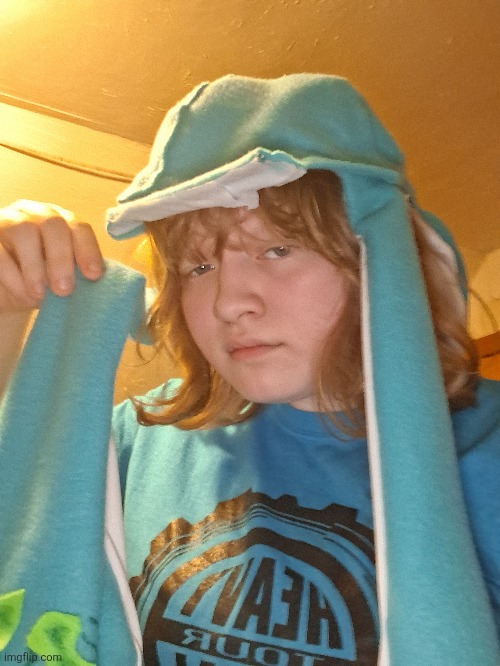 Skatez wig | made w/ Imgflip meme maker