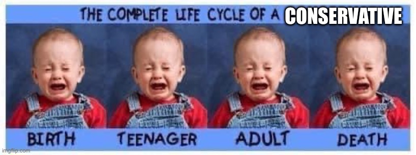 Life cycle of a liberal | CONSERVATIVE | image tagged in life cycle of a liberal | made w/ Imgflip meme maker
