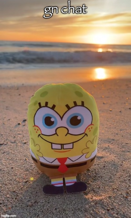 the bob (ty TMBR) | gn chat | image tagged in the bob ty tmbr | made w/ Imgflip meme maker