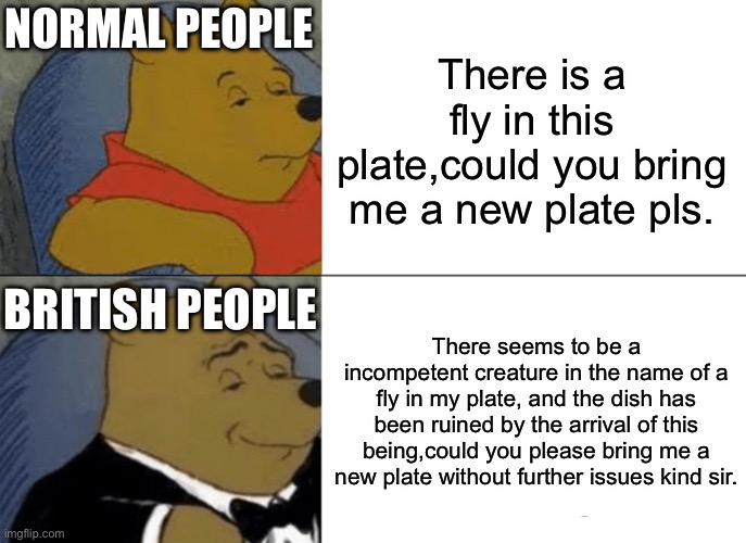 Dear ladies and gentlemen please enjoy this quite thoughtfully and poetically written statement called a meme | NORMAL PEOPLE; There is a fly in this plate,could you bring me a new plate pls. BRITISH PEOPLE; There seems to be a incompetent creature in the name of a fly in my plate, and the dish has been ruined by the arrival of this being,could you please bring me a new plate without further issues kind sir. | image tagged in memes,tuxedo winnie the pooh | made w/ Imgflip meme maker