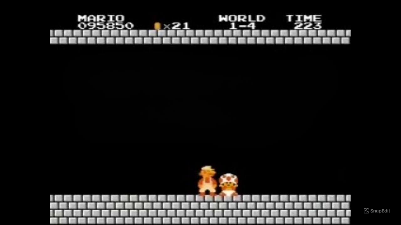 Mario Blank Meme Template