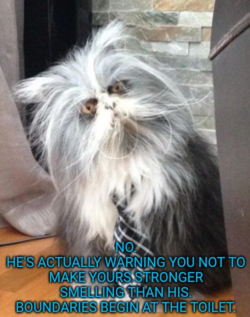 What the? | NO.
HE'S ACTUALLY WARNING YOU NOT TO MAKE YOURS STRONGER SMELLING THAN HIS. BOUNDARIES BEGIN AT THE TOILET. | image tagged in what the | made w/ Imgflip meme maker