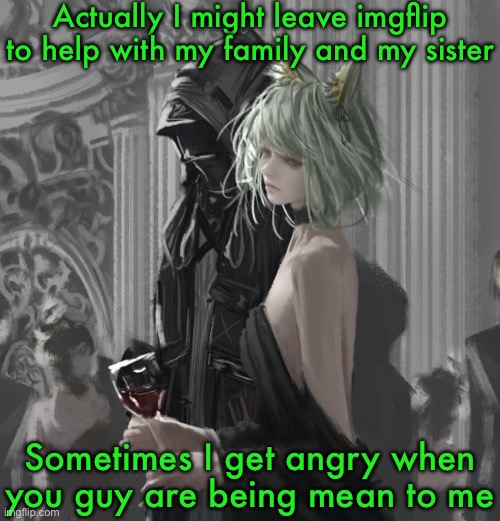 In about 1 months or 2 months? | Actually I might leave imgflip to help with my family and my sister; Sometimes I get angry when you guy are being mean to me | image tagged in kal tsit | made w/ Imgflip meme maker
