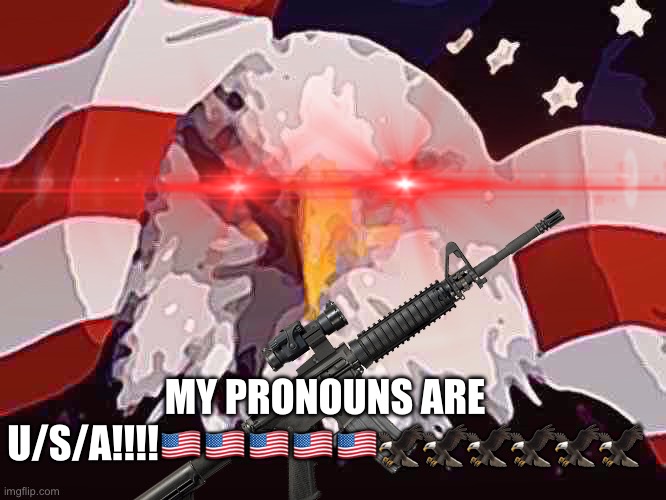 MY PRONOUNS ARE U/S/A!!!!🇺🇸🇺🇸🇺🇸🇺🇸🇺🇸🦅🦅🦅🦅🦅🦅 | made w/ Imgflip meme maker