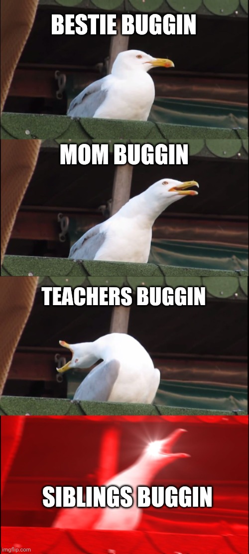 Inhaling Seagull | BESTIE BUGGIN; MOM BUGGIN; TEACHERS BUGGIN; SIBLINGS BUGGIN | image tagged in memes,inhaling seagull | made w/ Imgflip meme maker