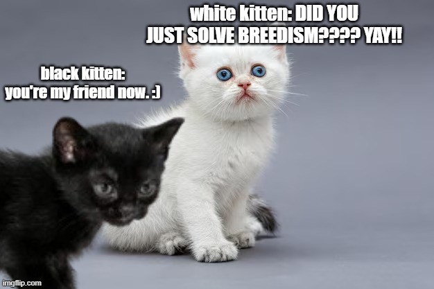 breedism???? ????????? | white kitten: DID YOU JUST SOLVE BREEDISM???? YAY!! black kitten: you're my friend now. :) | image tagged in memes | made w/ Imgflip meme maker