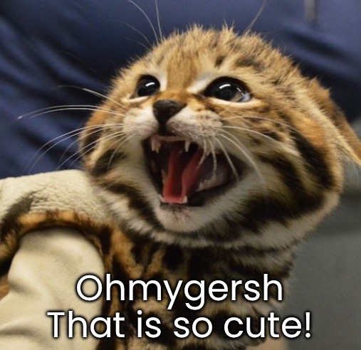 Ohmygersh
That is so cute! | made w/ Imgflip meme maker