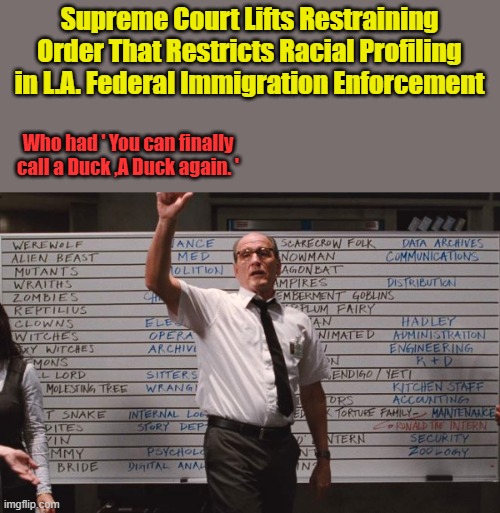 Winning | Supreme Court Lifts Restraining Order That Restricts Racial Profiling in L.A. Federal Immigration Enforcement; Who had ' You can finally call a Duck ,A Duck again. ' | image tagged in cabin the the woods | made w/ Imgflip meme maker