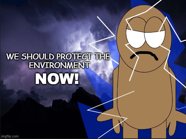 We should protect the environment | WE SHOULD PROTECT THE 
ENVIRONMENT; NOW! | image tagged in wilkins becomes low tier god,environmental protection agency,psa,environment,awareness,wilkins | made w/ Imgflip meme maker