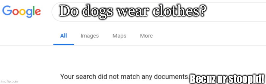 Do dogs wear clothes? Becuz ur stoopid! | image tagged in google no results | made w/ Imgflip meme maker