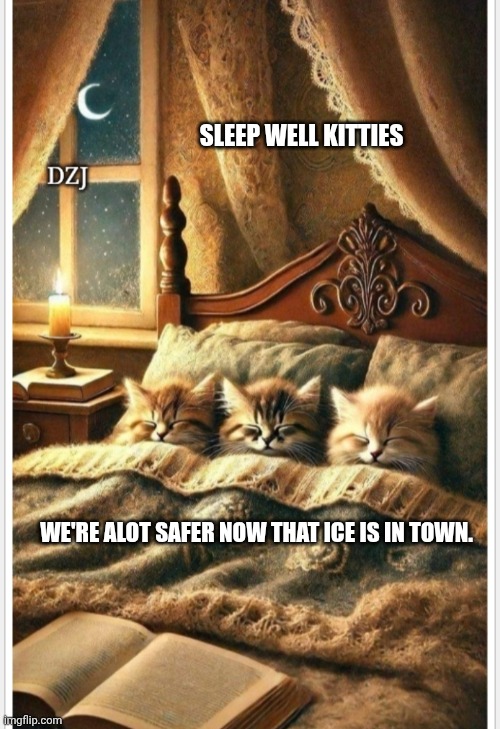 SLEEP WELL KITTIES WE'RE ALOT SAFER NOW THAT ICE IS IN TOWN. | made w/ Imgflip meme maker