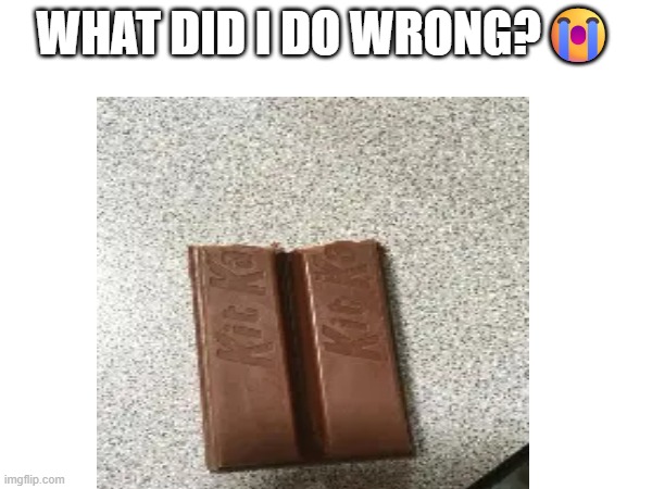 Smth wrong? | WHAT DID I DO WRONG?😭 | image tagged in kitkat,jokes,funny | made w/ Imgflip meme maker