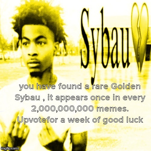 Golden Sybau | image tagged in golden sybau | made w/ Imgflip meme maker