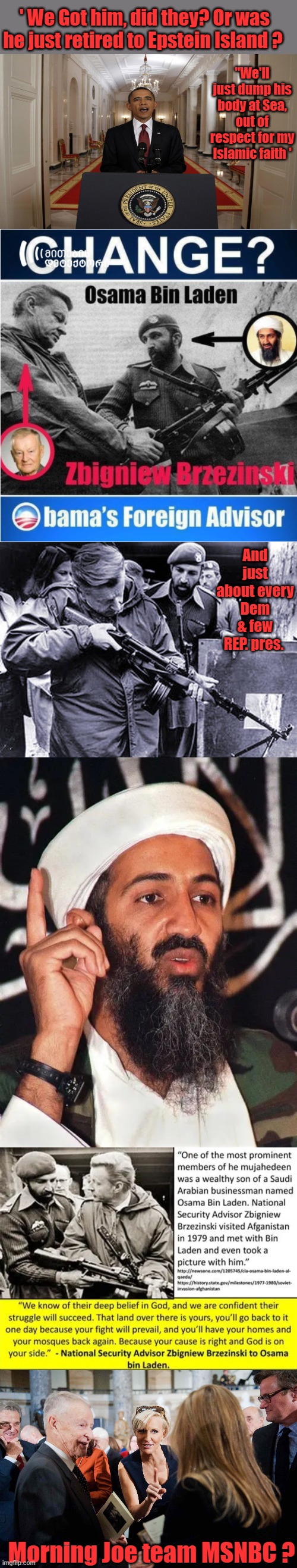 JUST WONDERING, think. | ' We Got him, did they? Or was he just retired to Epstein Island ? "We'll just dump his body at Sea, out of respect for my Islamic faith '; And just about every Dem & few REP. pres. Morning Joe team MSNBC ? | made w/ Imgflip meme maker