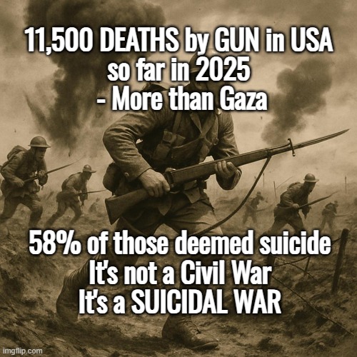Living HELL in the USA-Hole | 11,500 DEATHS by GUN in USA 
so far in 2025 
- More than Gaza; 58% of those deemed suicide
It's not a Civil War
It's a SUICIDAL WAR | image tagged in usa,war,civil war,usa-holes | made w/ Imgflip meme maker