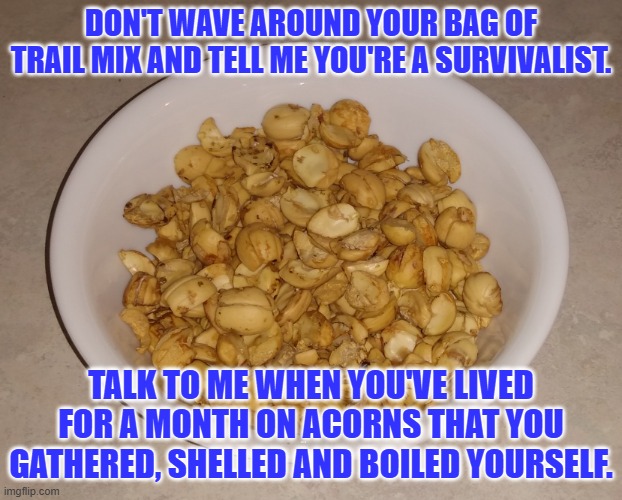 Yummy Acorns | DON'T WAVE AROUND YOUR BAG OF TRAIL MIX AND TELL ME YOU'RE A SURVIVALIST. TALK TO ME WHEN YOU'VE LIVED FOR A MONTH ON ACORNS THAT YOU GATHERED, SHELLED AND BOILED YOURSELF. | image tagged in yummy acorns | made w/ Imgflip meme maker