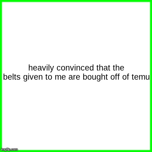 green box | heavily convinced that the belts given to me are bought off of temu | image tagged in green box | made w/ Imgflip meme maker