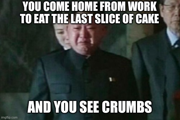 True heartbreak | YOU COME HOME FROM WORK TO EAT THE LAST SLICE OF CAKE; AND YOU SEE CRUMBS | image tagged in memes,kim jong un sad,sad,food,broken heart,relatable | made w/ Imgflip meme maker