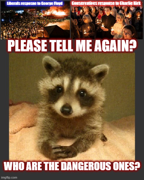The Awakening Continues To Expand | Conservatives response to Charlie Kirk; Liberals resposne to George Floyd; PLEASE TELL ME AGAIN? WHO ARE THE DANGEROUS ONES? | image tagged in politics,american politics,maga,liberalism,woke,the great awakening | made w/ Imgflip meme maker